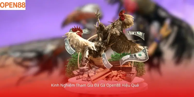Kinh Nghiệm Tham Gia Đá Gà Open88 Hiệu Quả